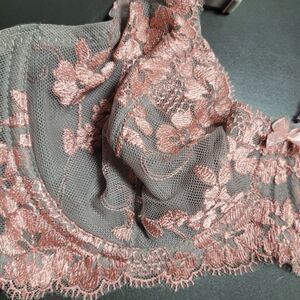 Secret Treasures Intimates Lace Embroidered Bra Underwire Gray Pink Size 36C NWT